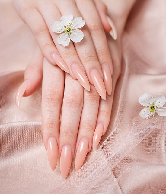 Divine Nail Lounge Spa